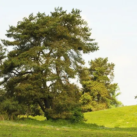 Doppelhaushaelfte Seestern, Lohmen *