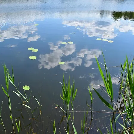 Doppelhaushaelfte Seestern, Lohmen Garden