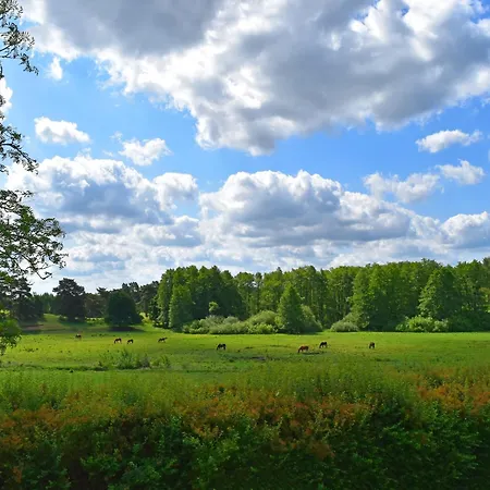 Prázdninový dům Doppelhaushaelfte Seestern, Lohmen *